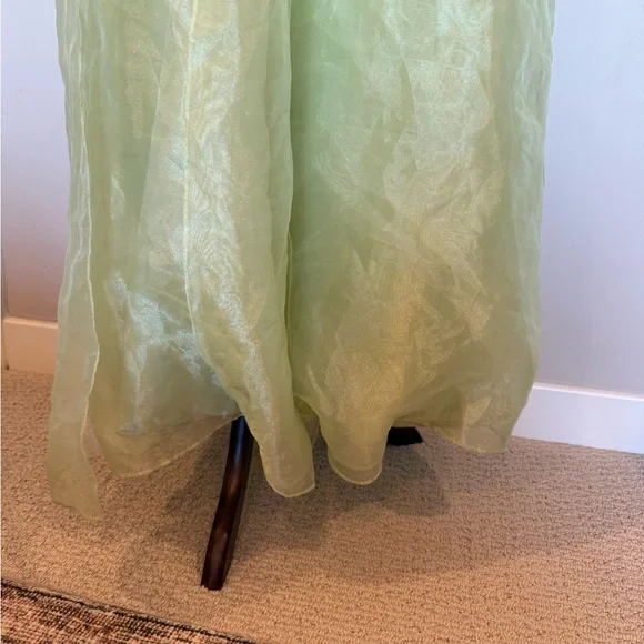Regency Light Green Gown - Picture 7 of 9